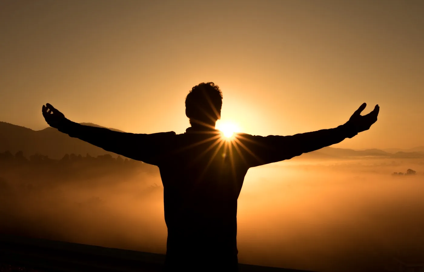 Aurana aurana living wisdom experience